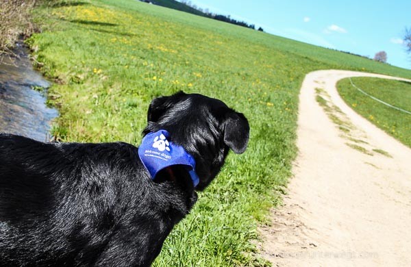 Bad Leonfelden_Mai2016_DSLR_WEB (13 von 33)