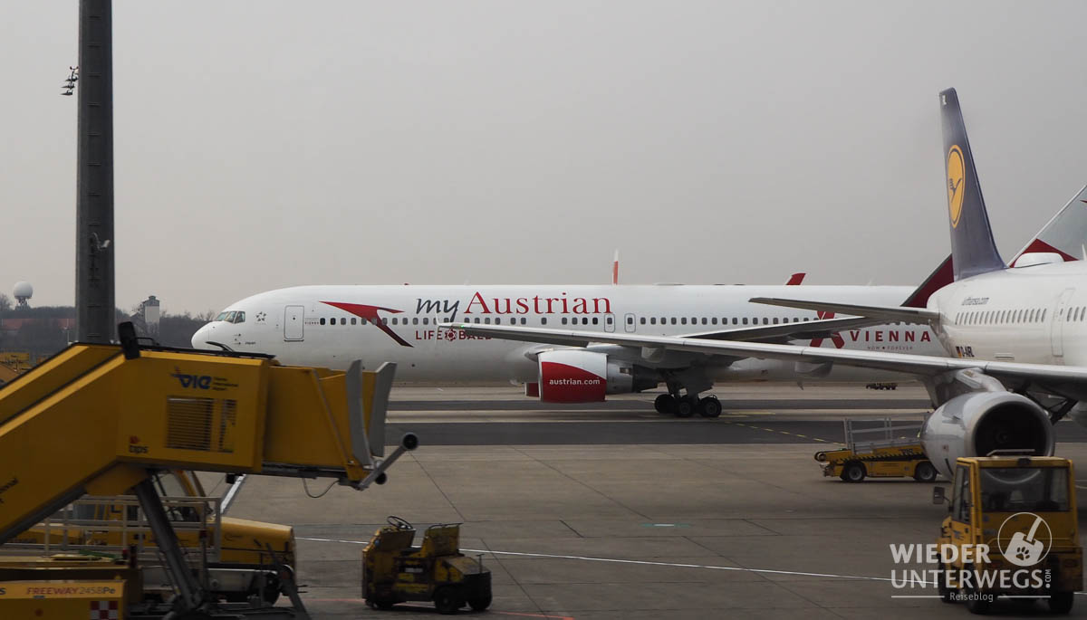 Besucherwelt Flughafen Wien Web (22 Von 89)
