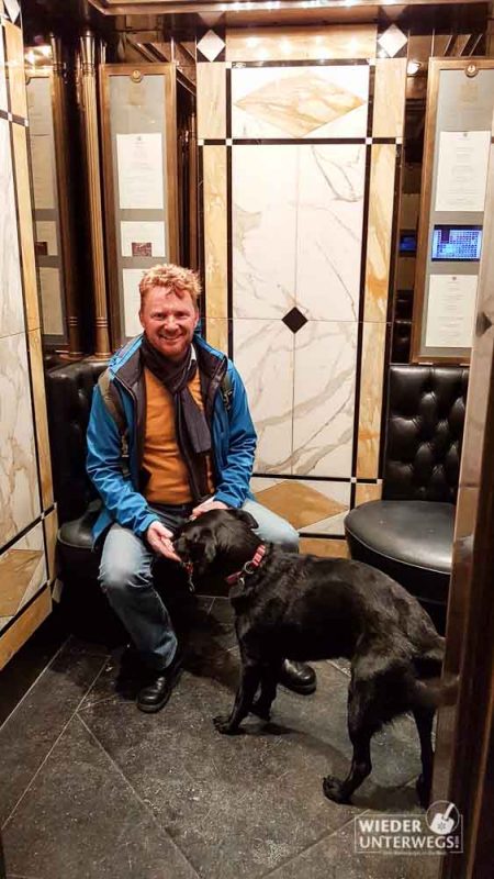 mit hund im lift des bristol wien