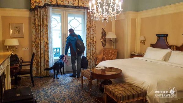 mit hund im zimmer im hotel bristol in wie