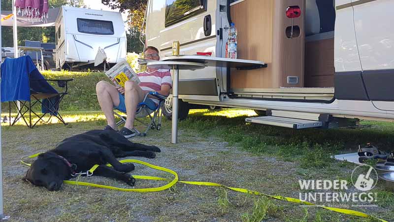 Orientalsk Sanktion løn So geht Camping mit Hund wirklich: Was man vorher wissen sollte.