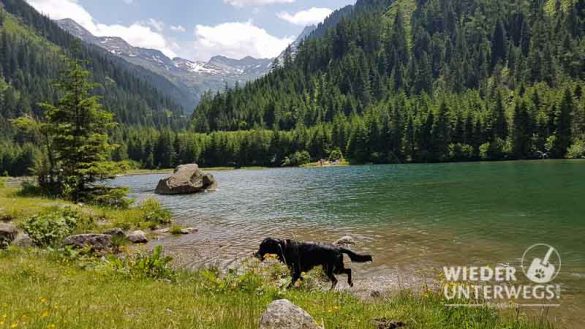 Camping Österreich Web 2017 (778 Von 973)