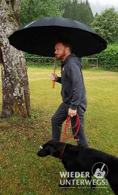 Camping im Regen: Hund nass, alles nass am Tristachersee.