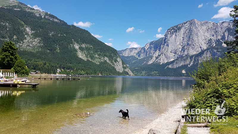 Camping Österreich Web 2017 (920 Von 973)