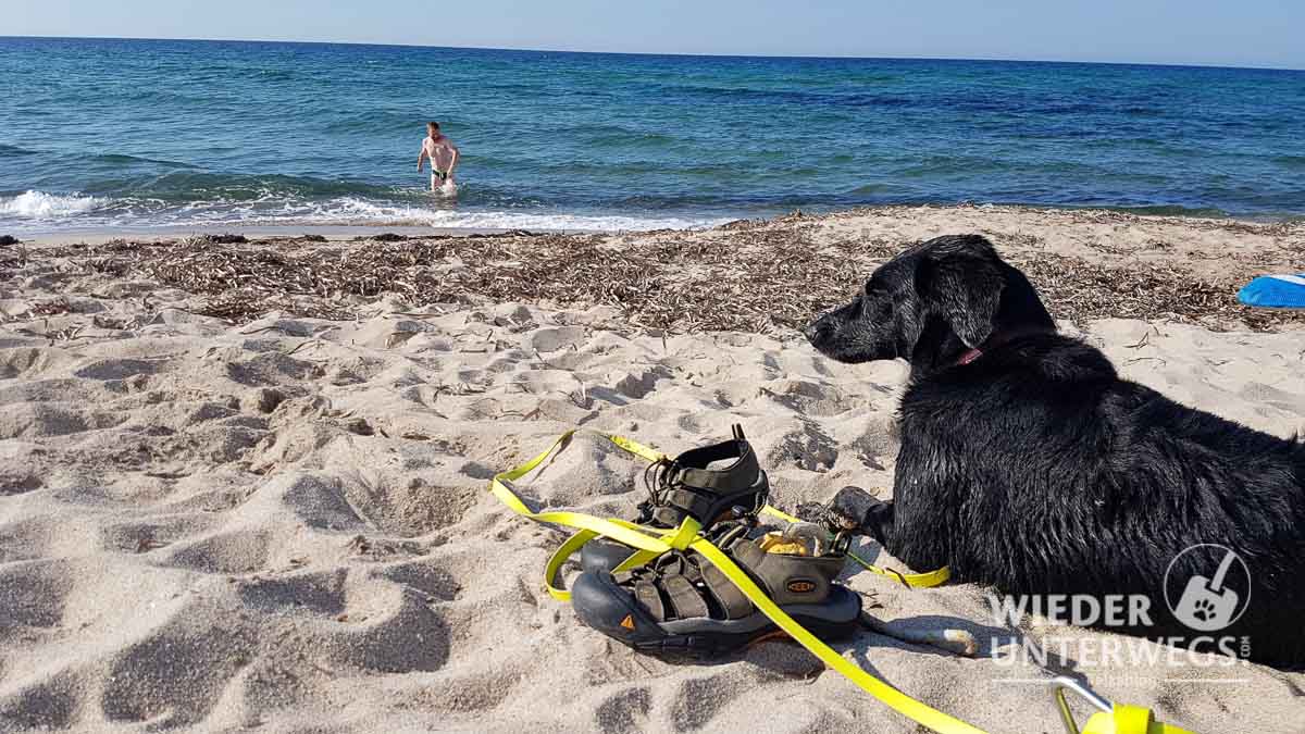 Urlaub mit hund sardinien erfahrungen
