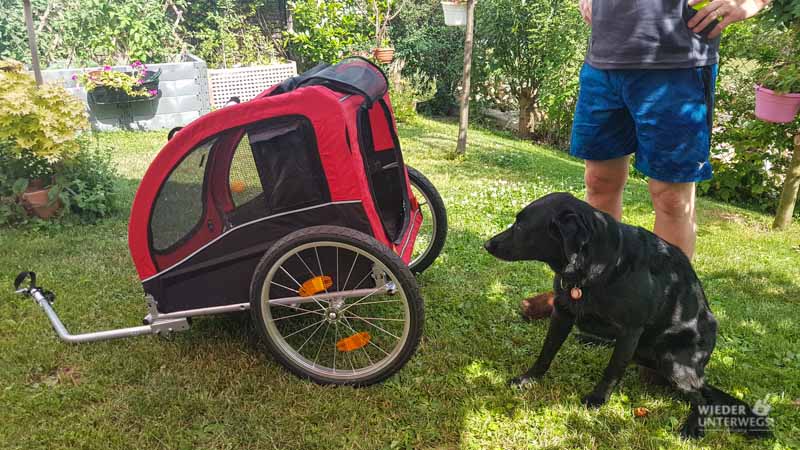 Mit dem Hund im Anhänger Radfahren Velomotion