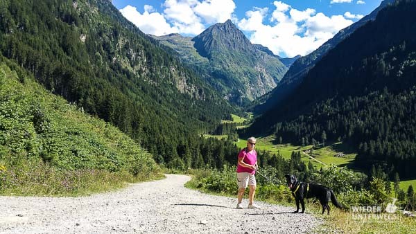 wanderung mit hund schladming