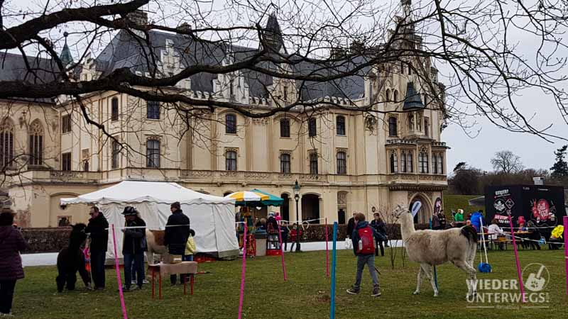 Grafenegg schloss