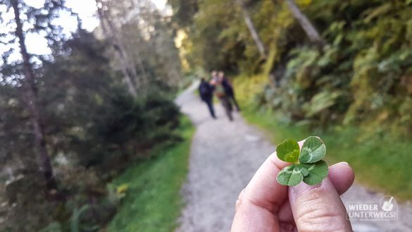 Harbachtal Wanderung Salzburgerland September 2016 Web 20 Von 97