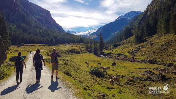 Harbachtal Wanderung Salzburgerland September 2016 Web 63 Von 97