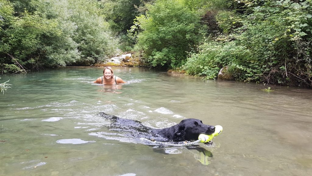 Montenegro Urlaub Hund im Fluss