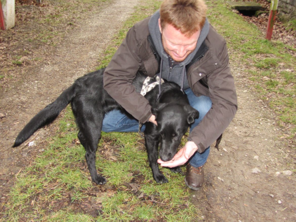 Kennenlernen Hund