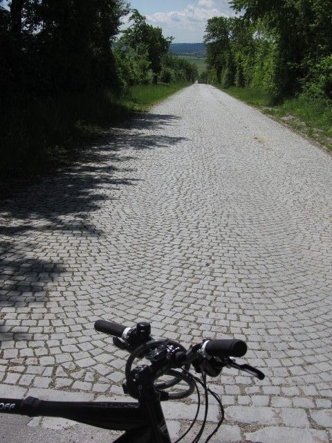 Die alte Brünnerstraße bei Gaweinstal 