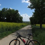 Einsame Radwege im Weinviertel