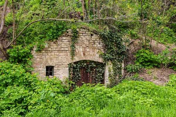 keller weinviertel in die grean kellergasse