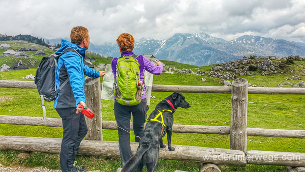 Wandern mit hund: Velika Planika