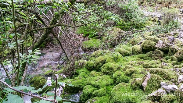 KAMNIK_Slowenien_Mai2016_WEB (171 von 191)