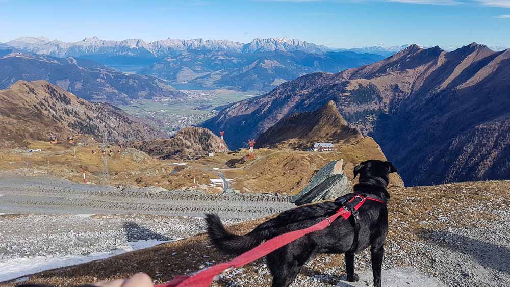 Kaprun Alpenhaus Mit Hund Zell Am See Kitzsteinhorn Web (139 Von 308)