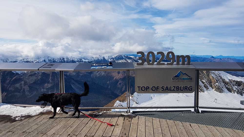 Kaprun Alpenhaus Mit Hund Zell Am See Kitzsteinhorn Web (158 Von 308)