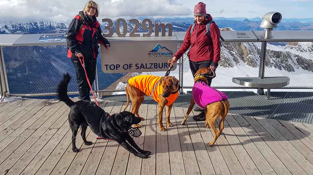 Urlaub mit Hund Kitzsteinhorn Kaprun