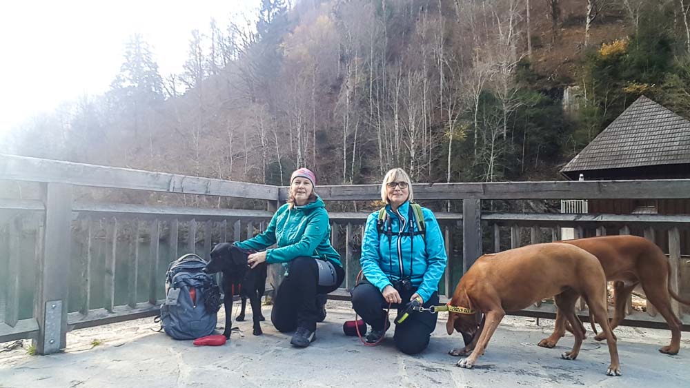 Kaprun Alpenhaus Mit Hund Zell Am See Kitzsteinhorn Web (46 Von 308)