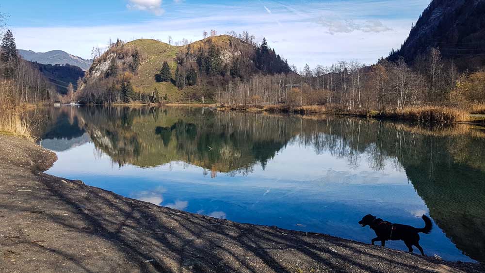 Kaprun Alpenhaus Mit Hund Zell Am See Kitzsteinhorn Web (69 Von 308)