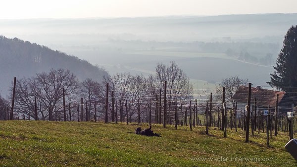 Kellerstöckl_Oststeiermark_März2016_web (142 von 202)