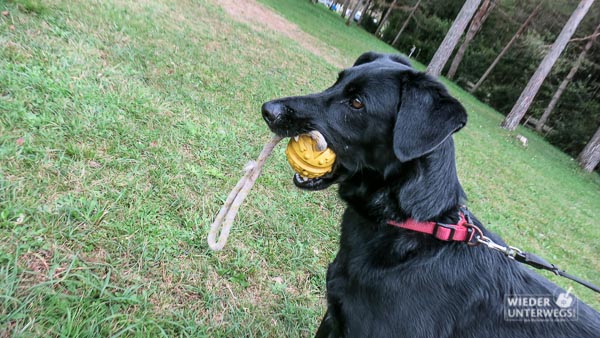 Coffee auf der Hundewiese am campingplatz Roz