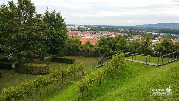 Weinberggarten Steigenberger Krems