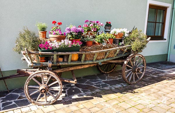 Kärnten Reiseblogger SlowFood Mai2016 Web (25 Von 206)