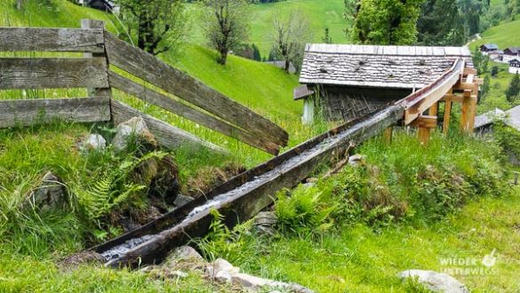 Kärnten Reiseblogger SlowFood Mai2016 Web (37 Von 206)