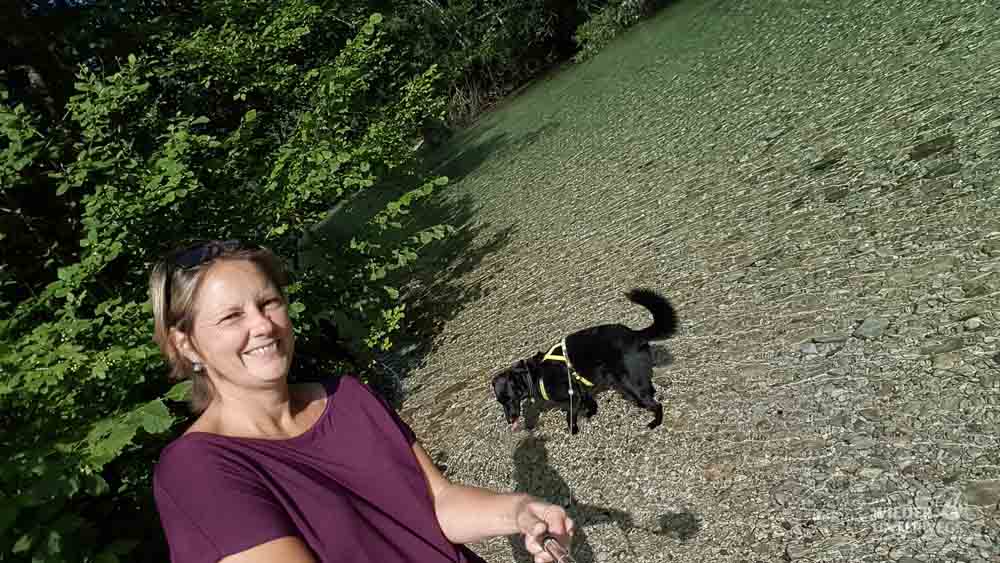 camping ötscherland direkt am fluss ois