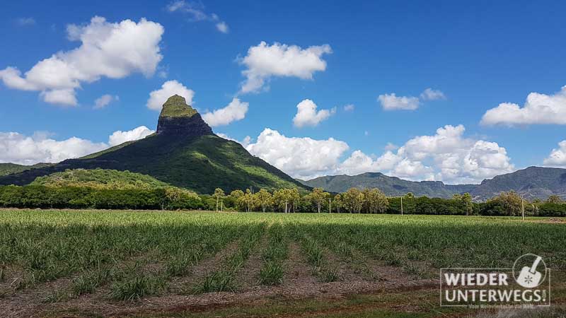 Mauritius 2016 Lakaz Chamarel Tamassa Lux Web 119 Von 478