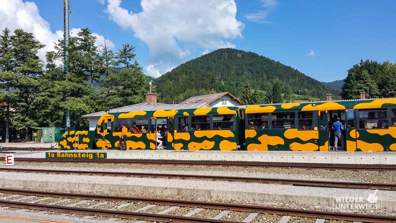 Der Salamander am Schneeberg