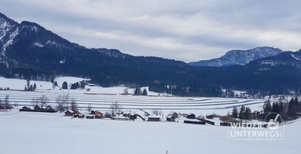 Mazdai Kärnten Jan2017 Web (135 Von 173)