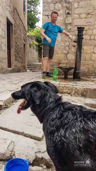 Montenegro Tipps Kotor Lovcen WEB (139 Von 448)