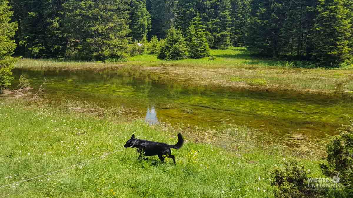 Montenegro Tipps Nationalparks WEB (151 Von 342)