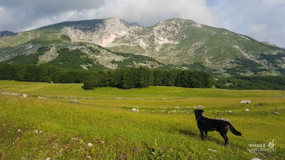 Montenegro Tipps Nationalparks WEB (226 Von 342)