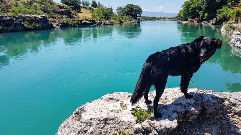Montenegro Tipps Skadar Podgorica Bar WEB (121 Von 275)