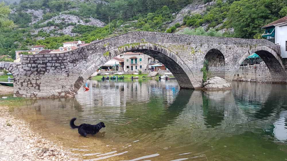 Montenegro Tipps Skadar Podgorica Bar WEB (90 Von 275)