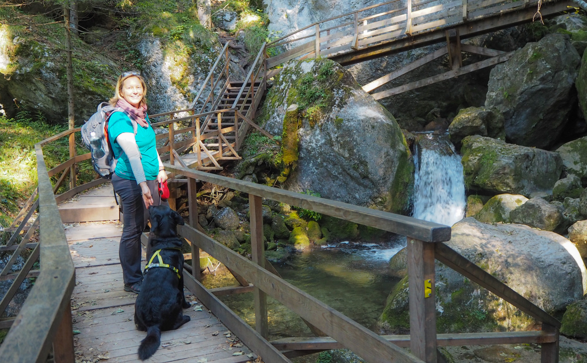 Die Myrafälle: Herrliches Ausflugsziel mit Hund. - Reiseblog Wiederunterwegs.com