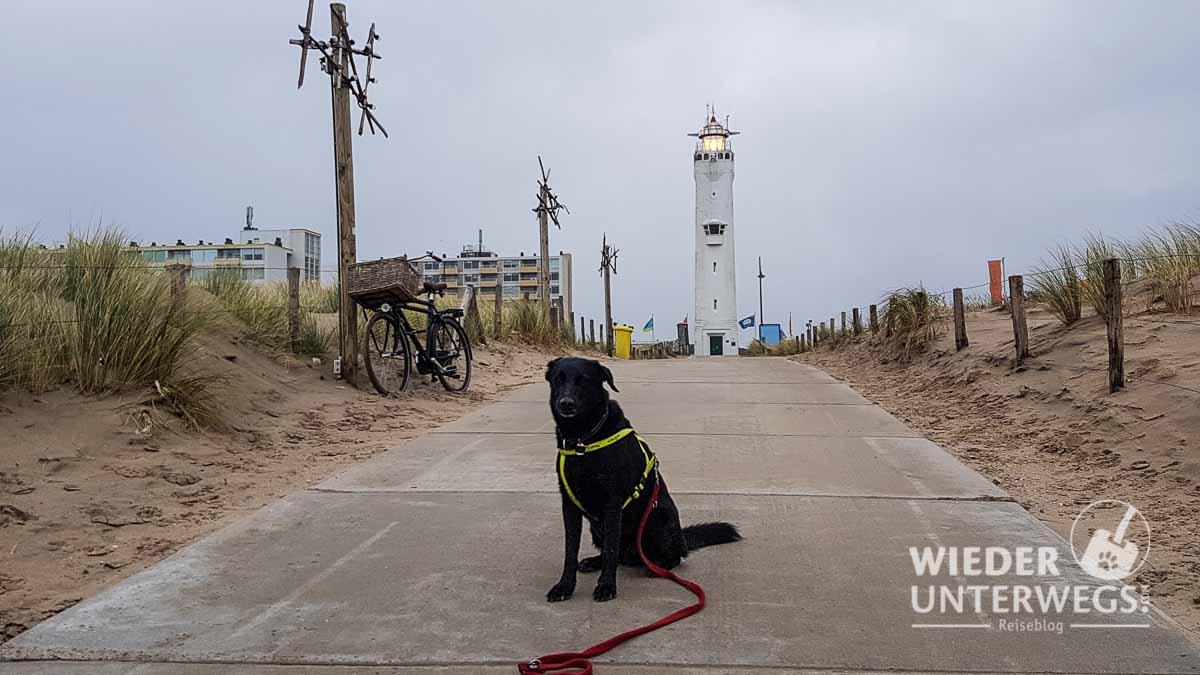 Noordwijk Web (124 Von 596)