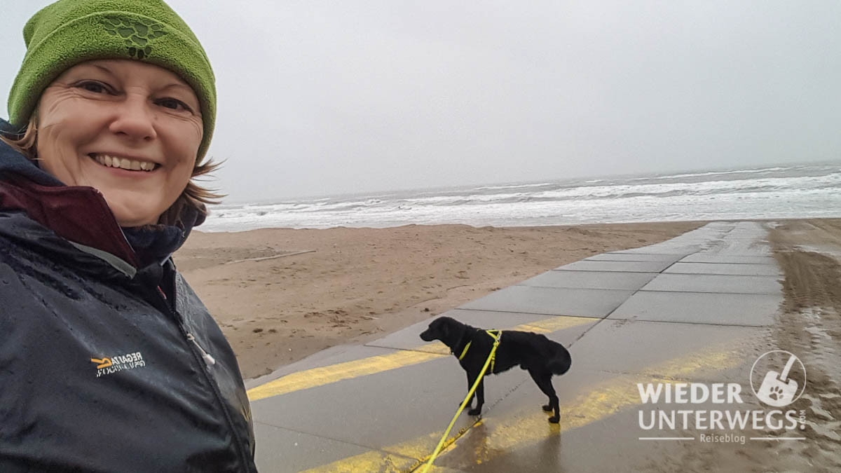 mit hund am strand von noordwijk im regen