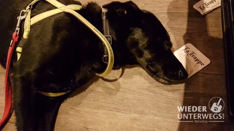 Noordwijk Web (474 Von 596)