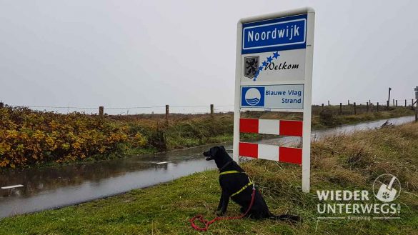 Noordwijk Web (92 Von 596)