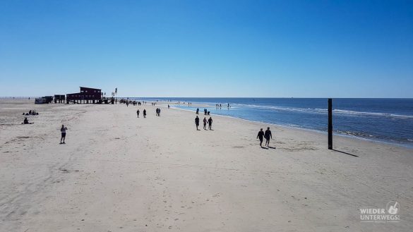 Nordsee 2018 WEB SPO Westerhever (119 Von 122)