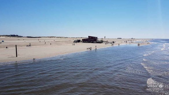 Nordsee 2018 WEB SPO Westerhever (90 Von 122)