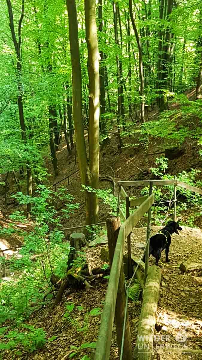 Pures Leben 2018 Web (126 Von 169)