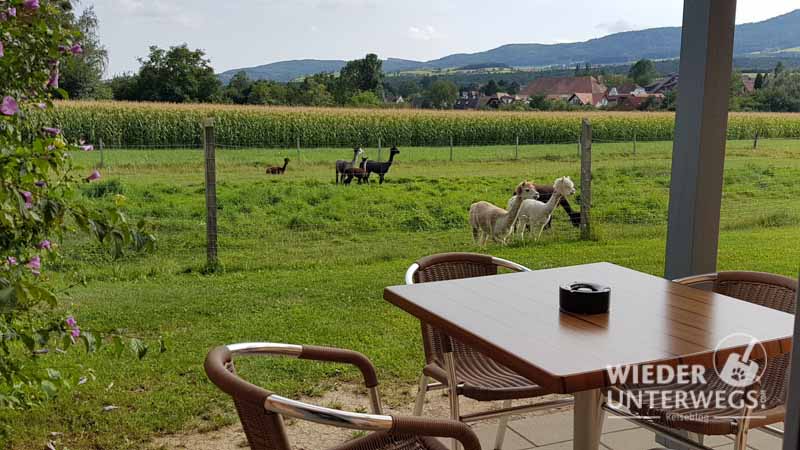 Meine Terrasse im Jufa Pölla