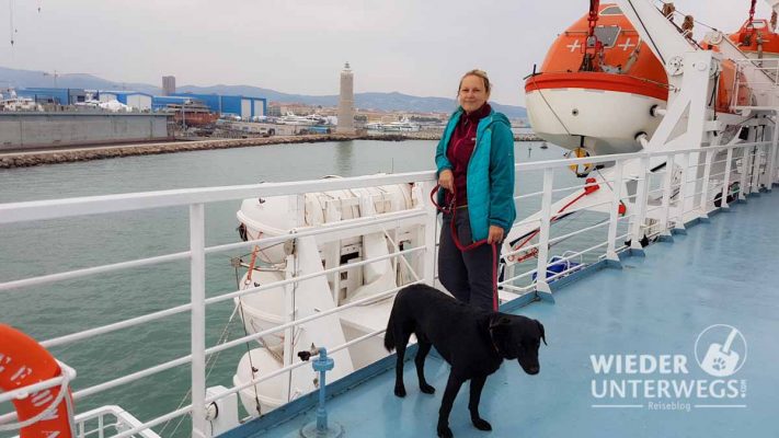 Mit Hund auf der Fähre nach Sardinien